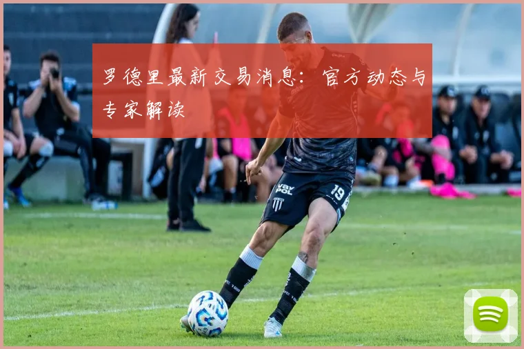 罗德里最新交易消息：官方动态与专家解读
